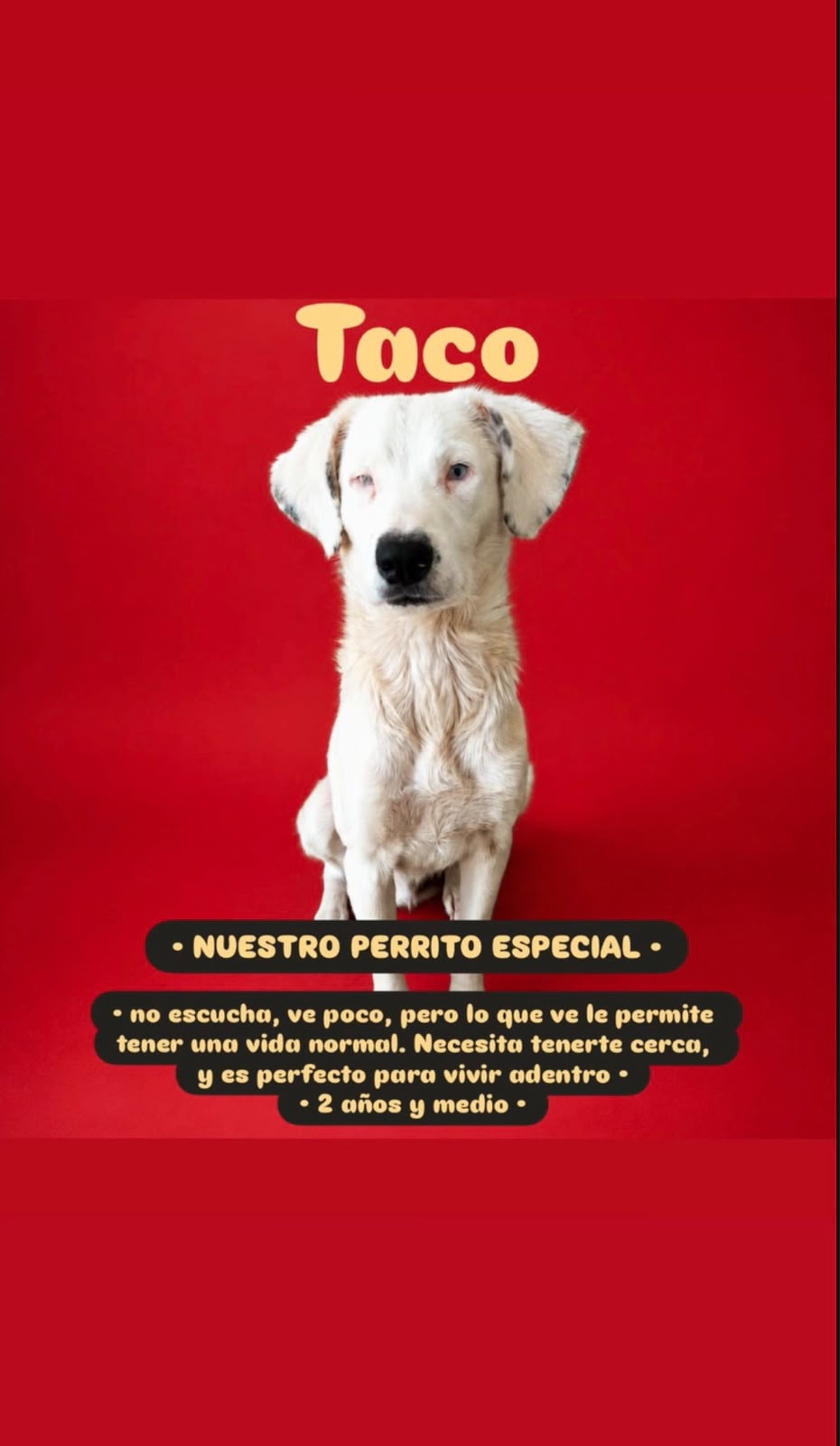 Taco