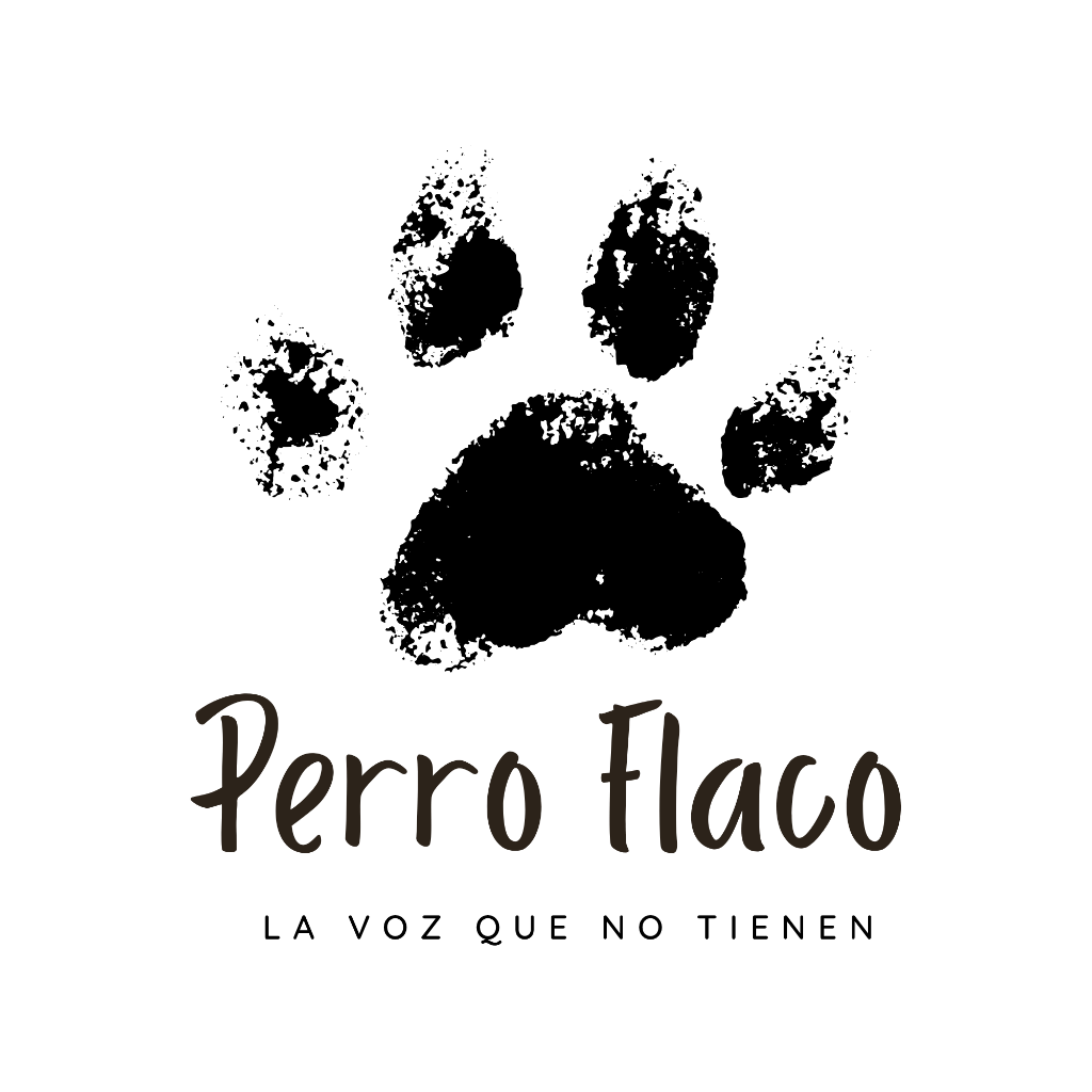 Perro Flaco