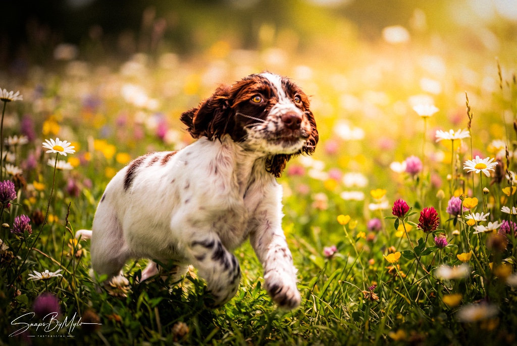 First Steps Into the Field
