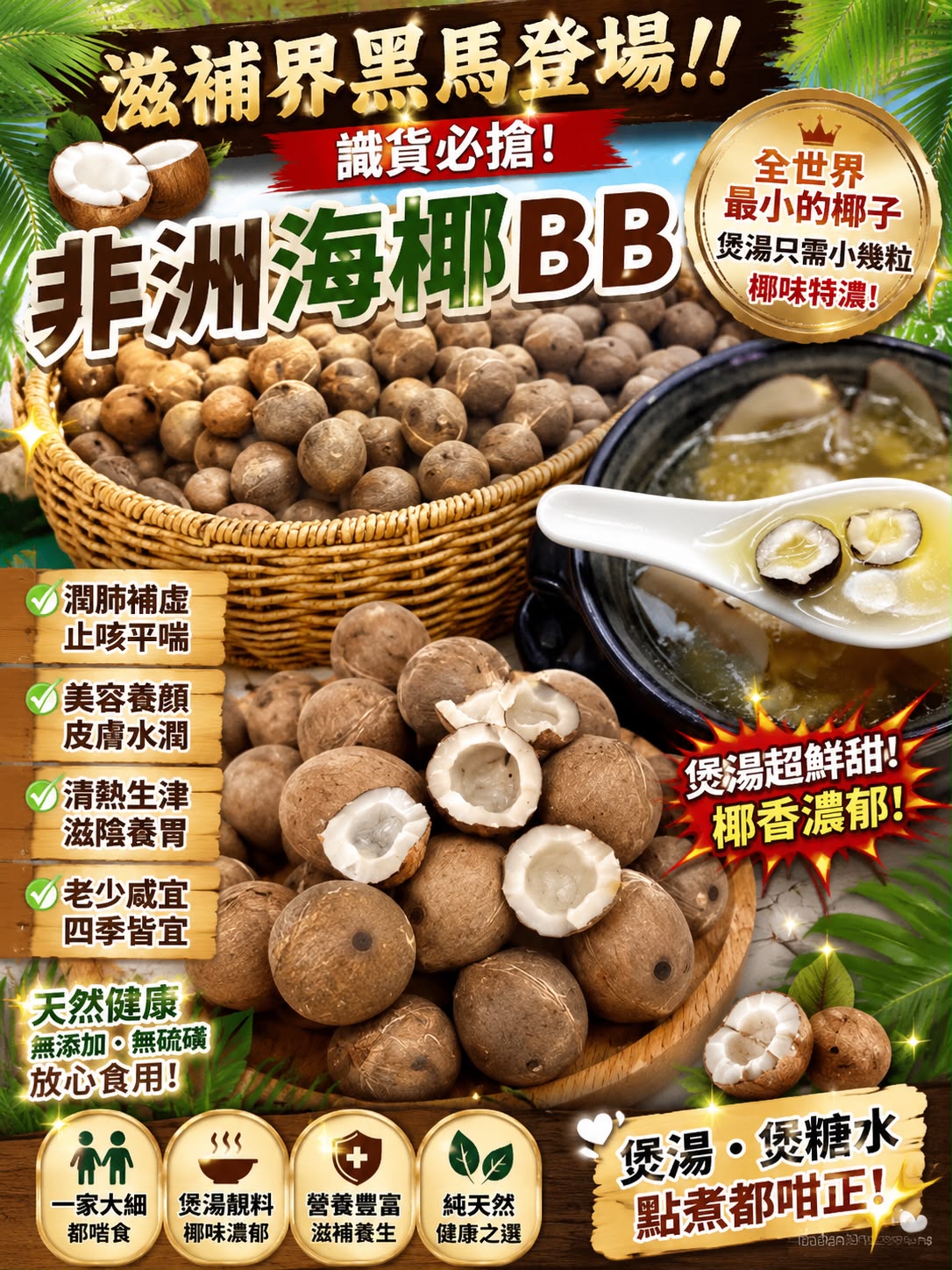 非洲海椰BB（一磅）