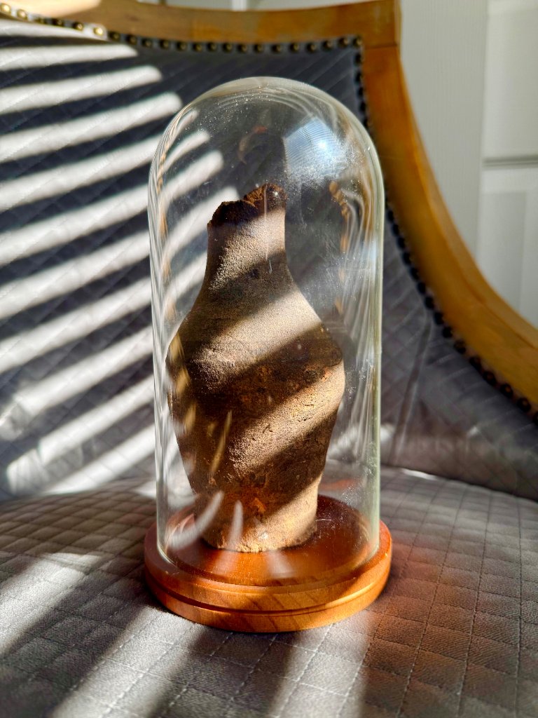 Roman vase artifact under glass dome