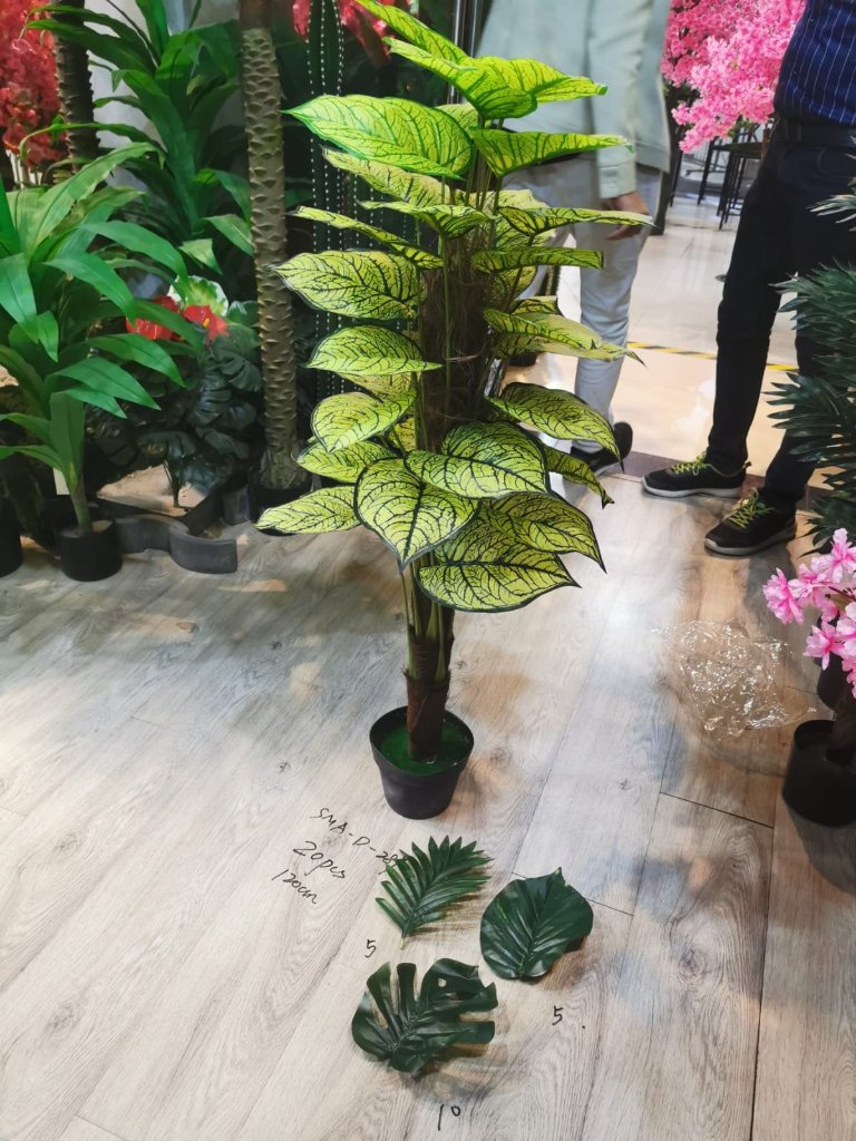 Tropical tree