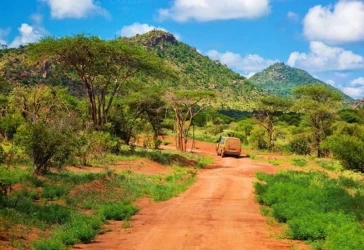 Kilimambogo Summit Hike