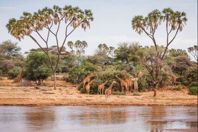 Samburu Desert Safari