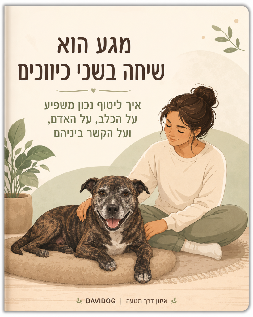 מגע, ליטוף והקשר בינינו