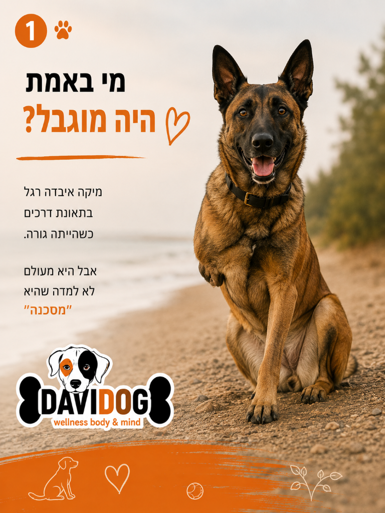 מיקה — מי באמת היה מוגבל?