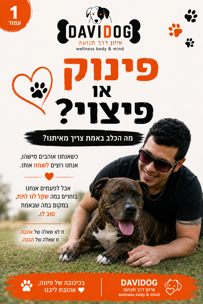 פינוק או פיצוי?