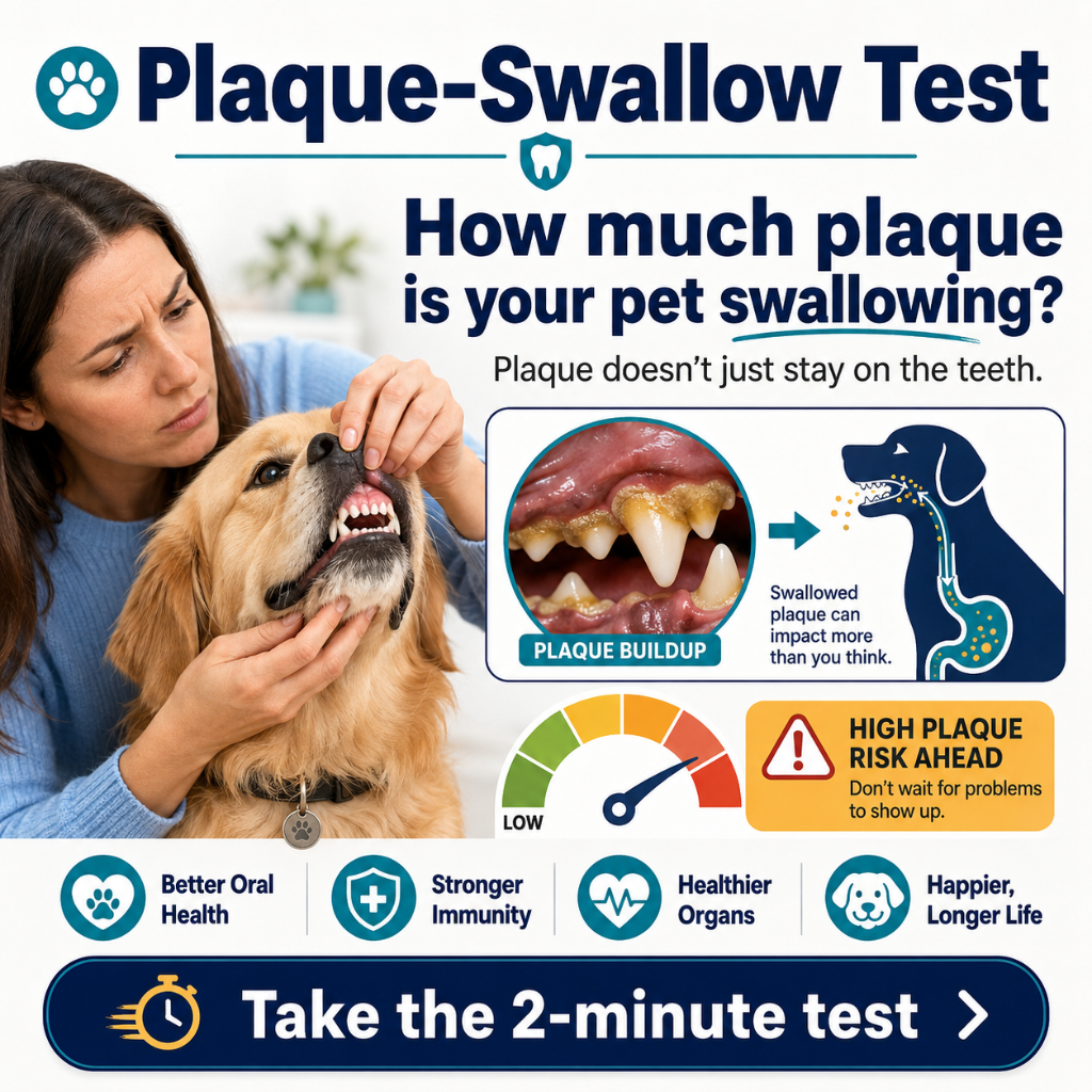 Plaque-Swallow Test
