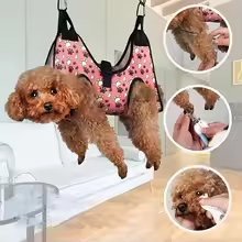 Dog in grooming hammock