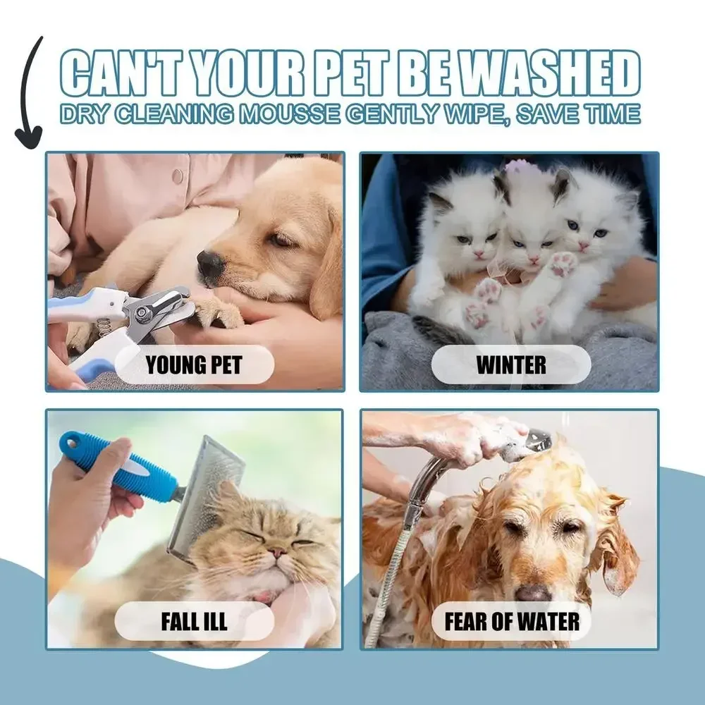 Can't your pet be washed — young pet, winter, fall ill, fear of water
