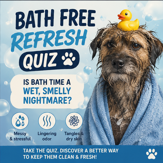 Bath-Free Refresh Quiz