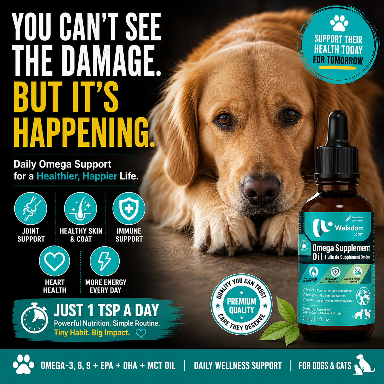 Omega Supplement Oil - 30mL