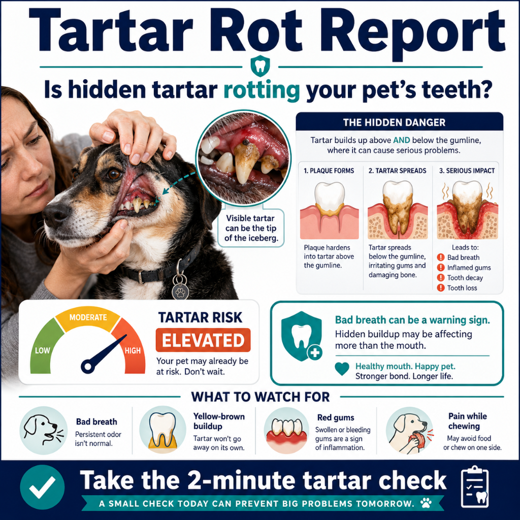 Tartar-Rot Report
