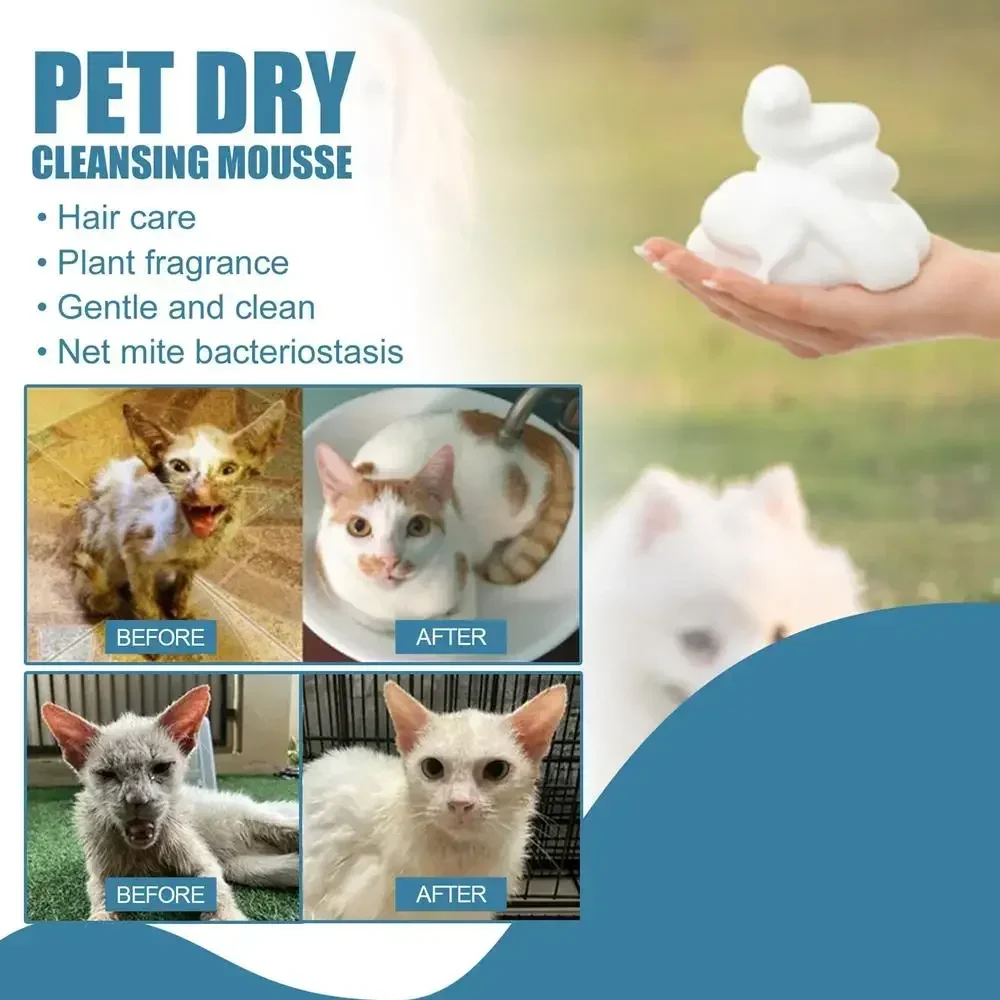 Pet dry cleansing mousse — before and after transformations