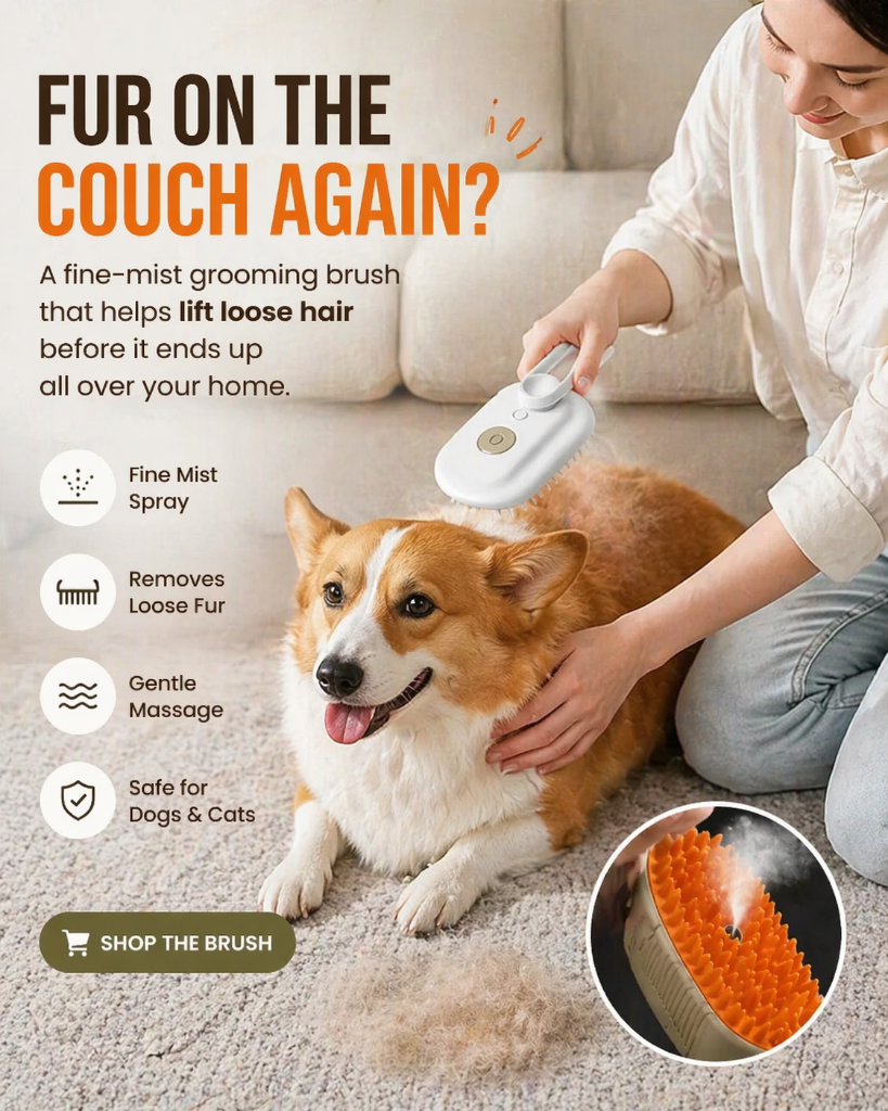 3-in-1 Pet Steam Brush