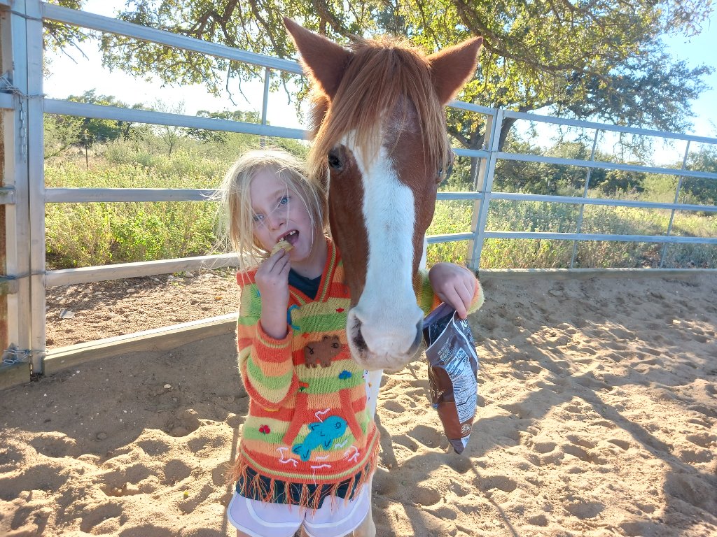 Texas — a gentle pony with a child at her side