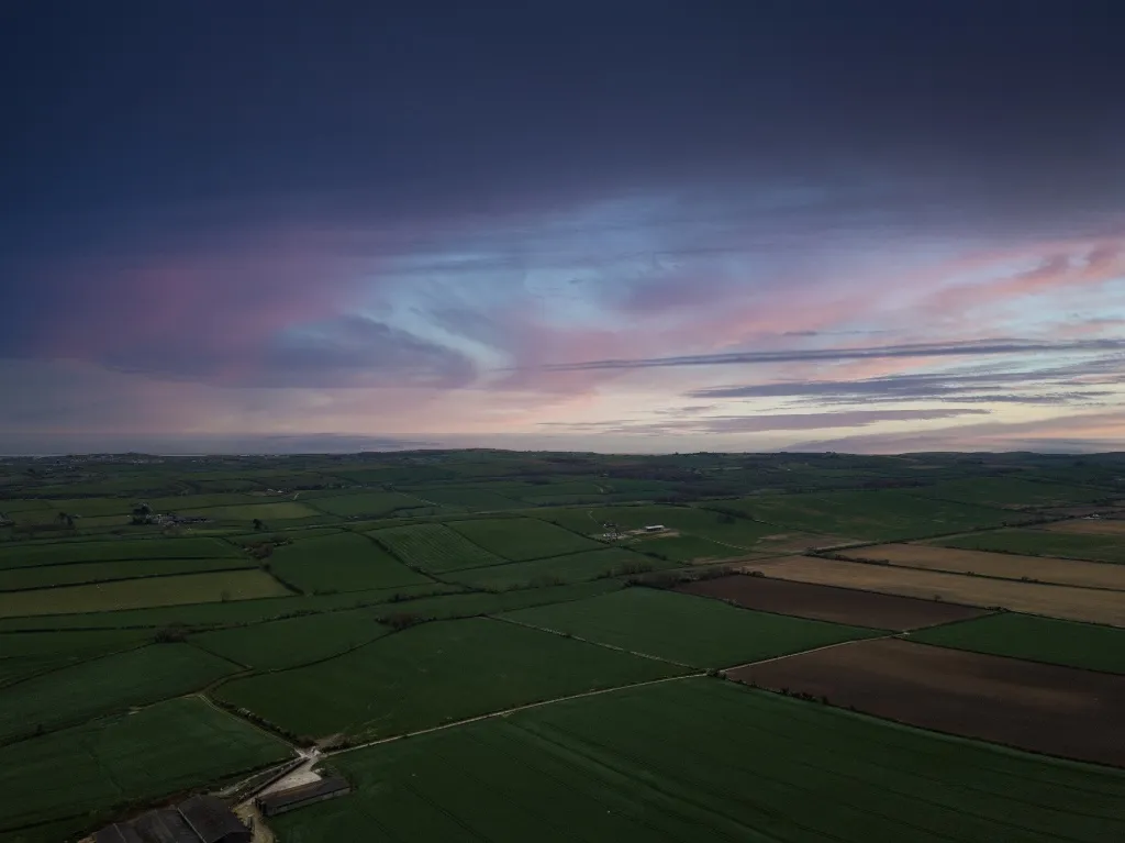 Aerial drone imagery used for animal and wildlife search