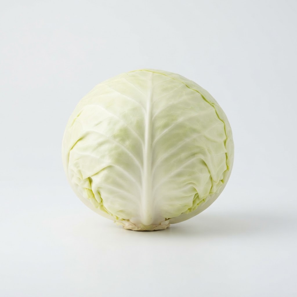 White Cabbage