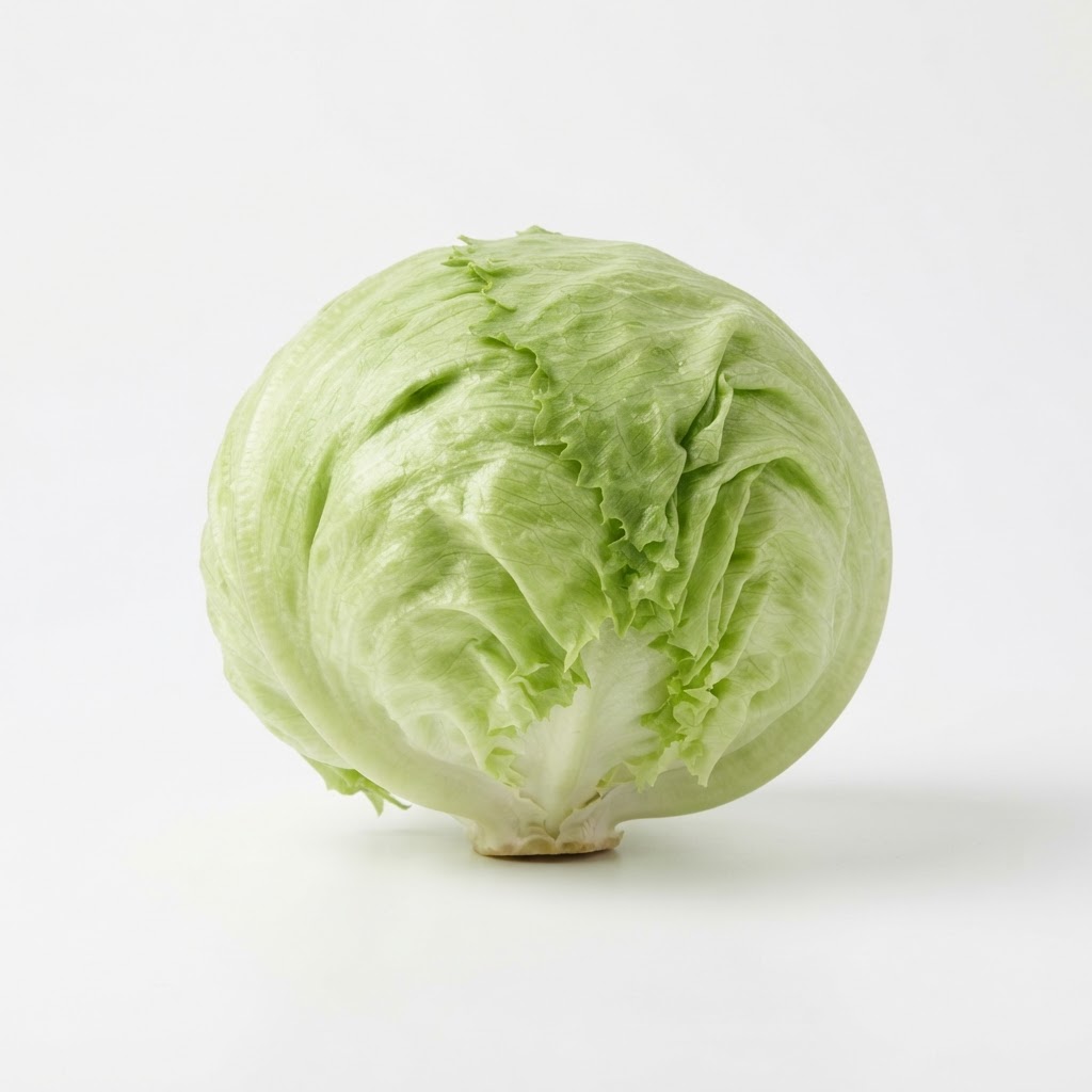 Iceberg Lettuce