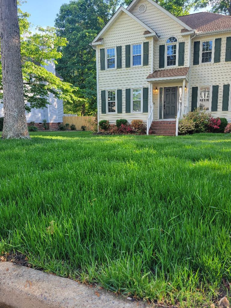 Lawn Restoration - After