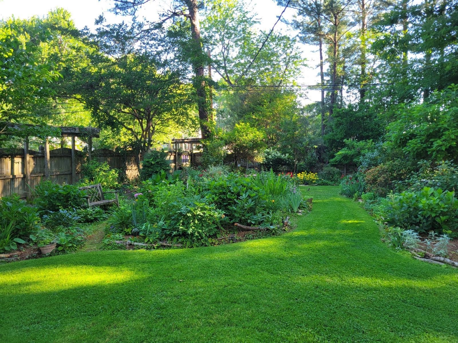 Landscaped backyard with curved mulch island bed