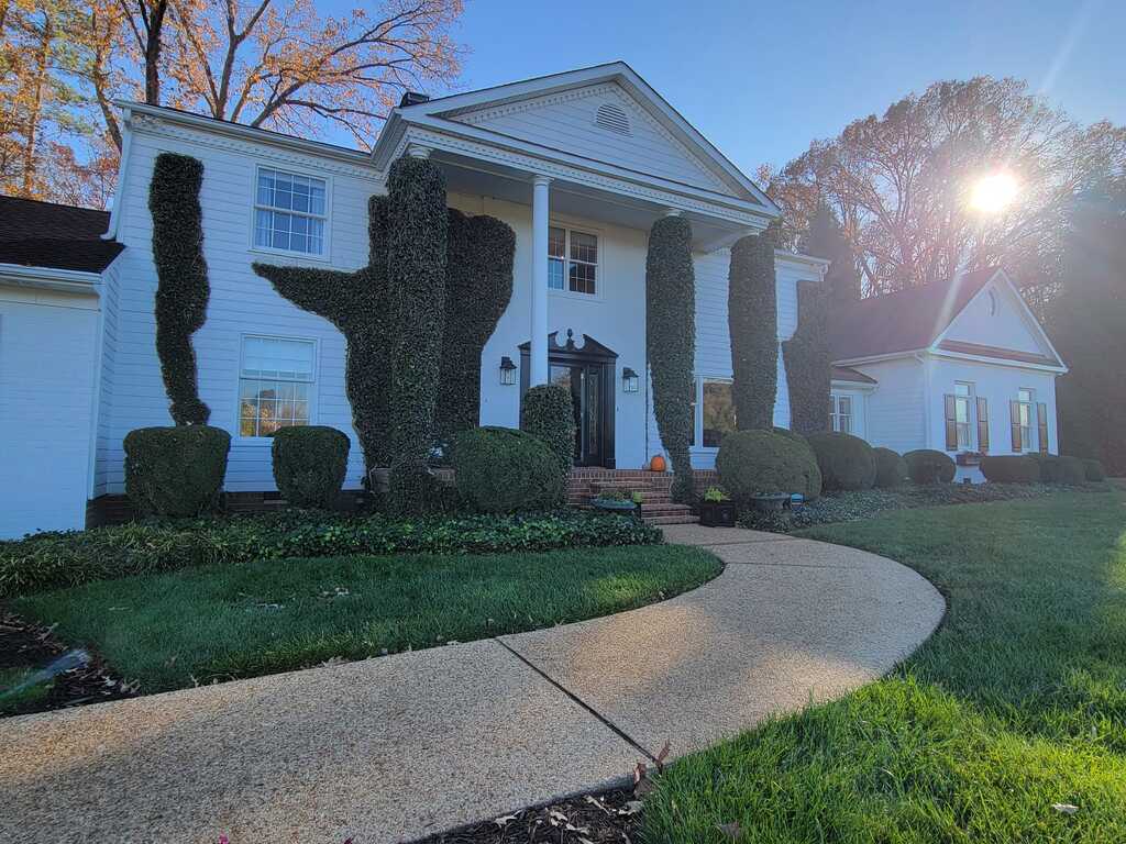 Clean driveway with perfectly edged lawn