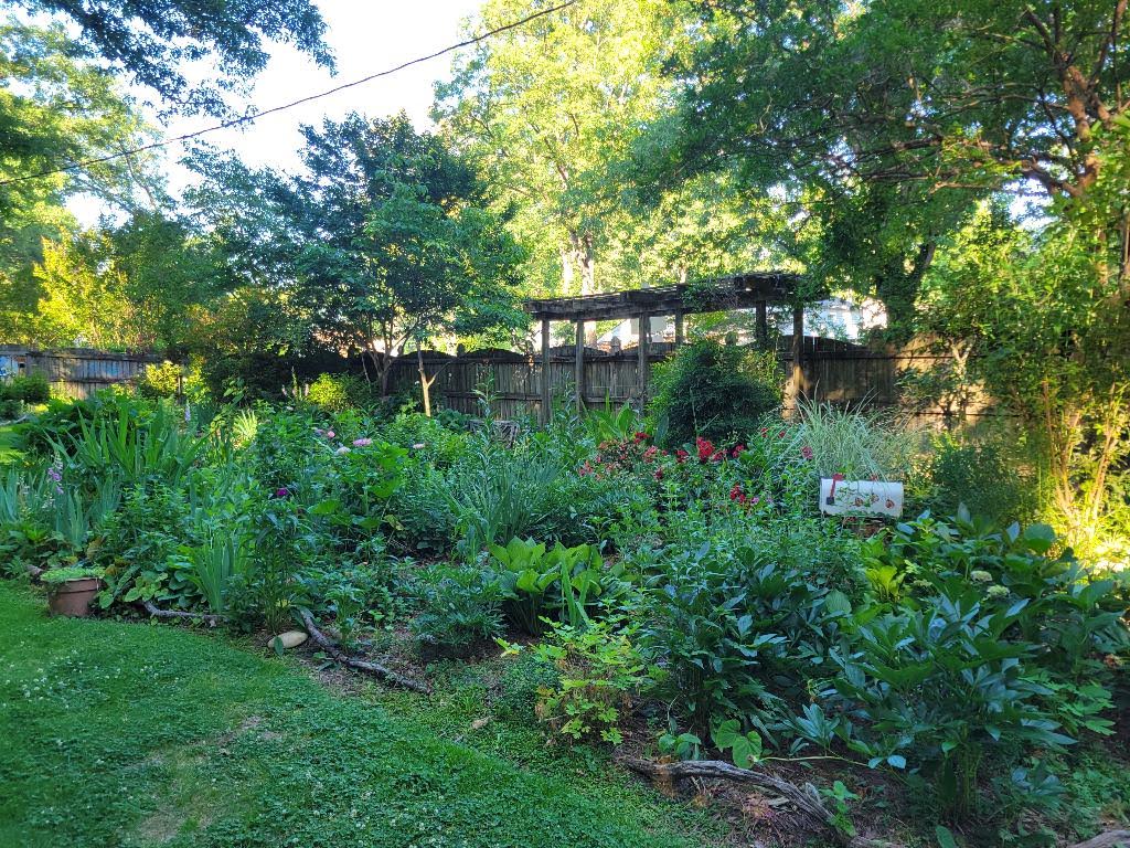 Established perennial garden