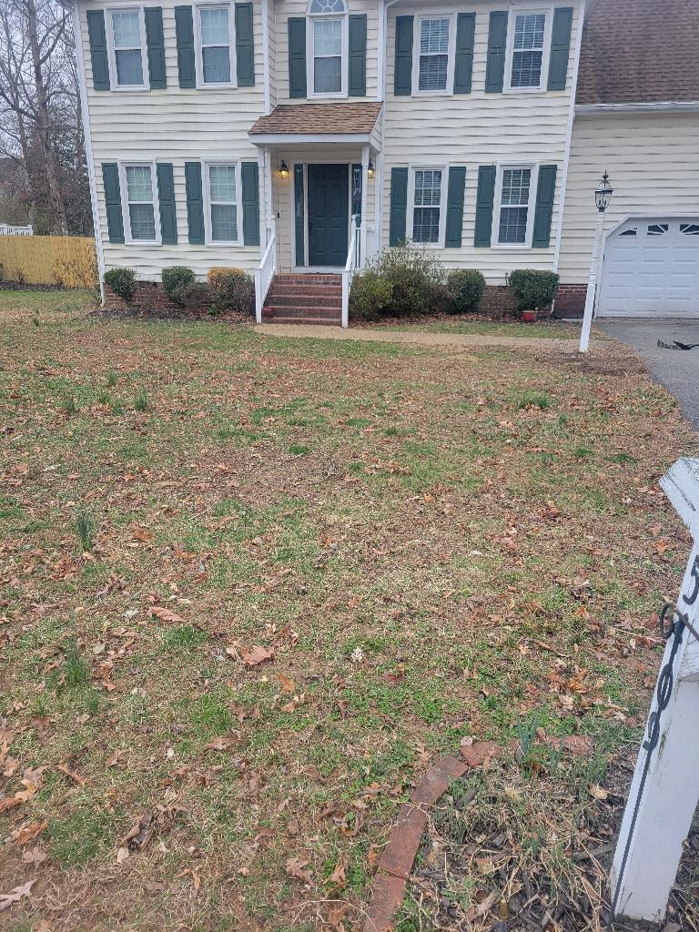 Lawn Restoration - Before