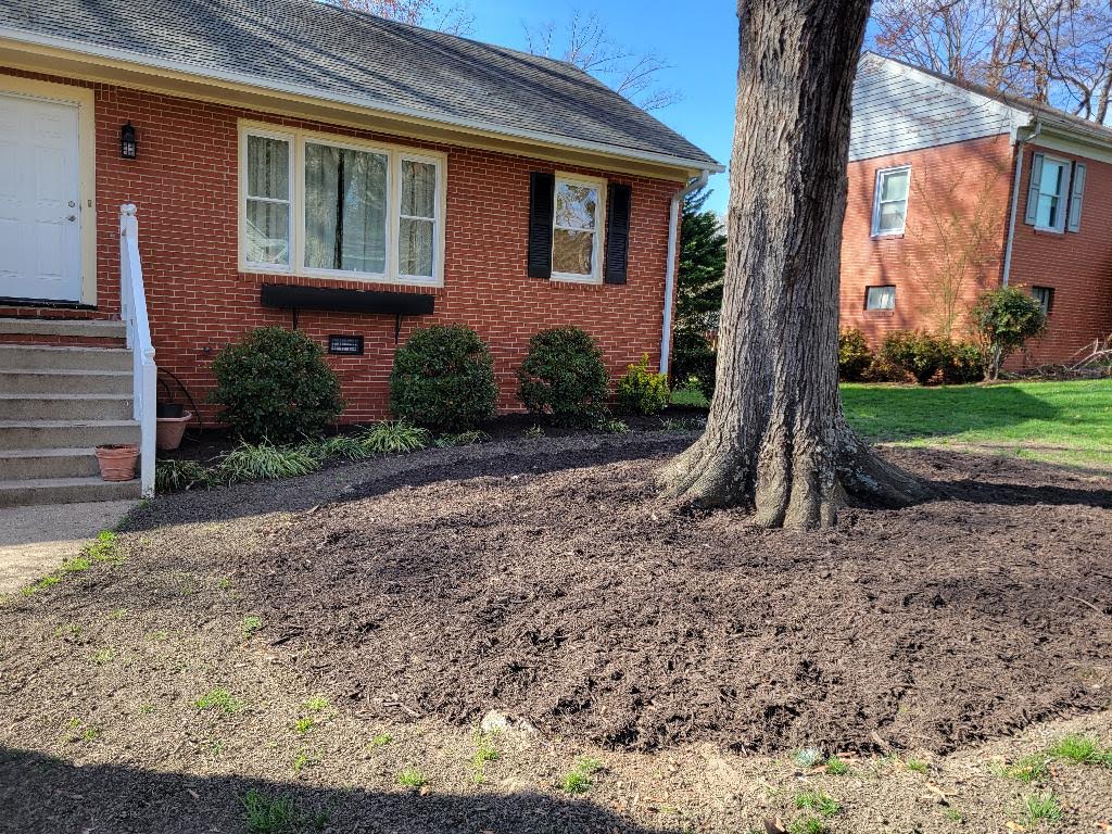 Yard Cleanup