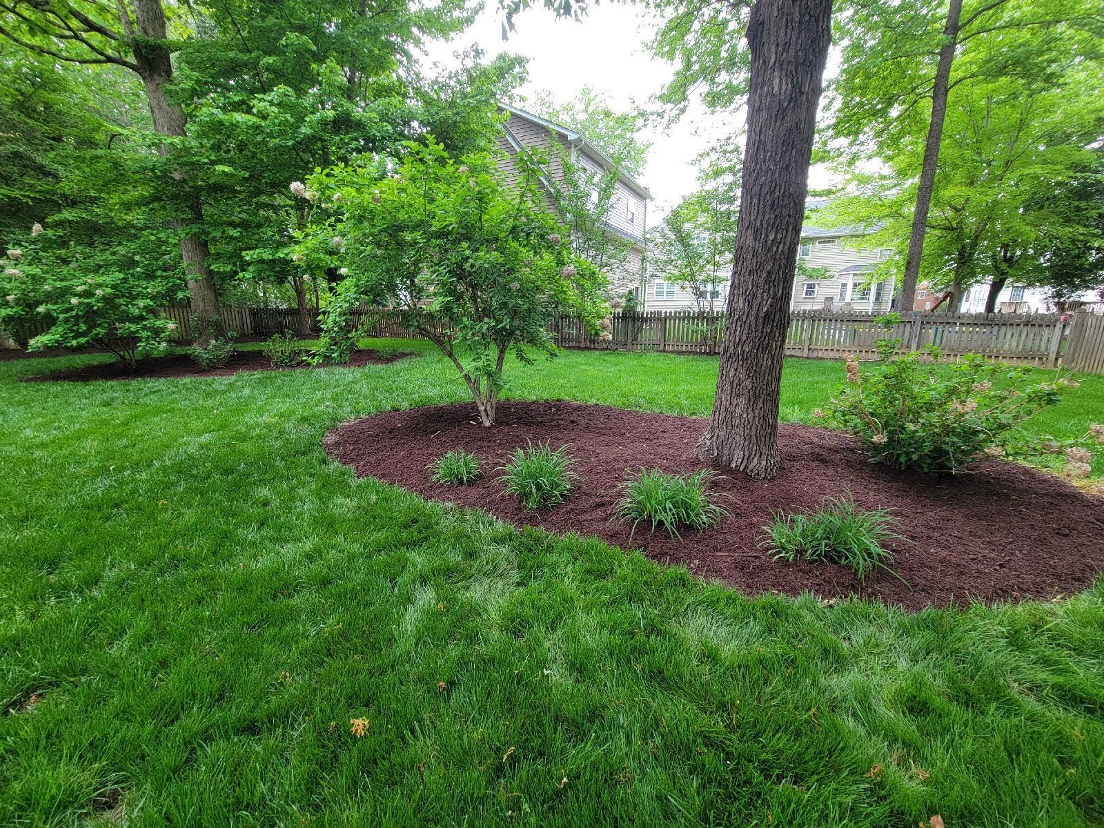Mulched island bed with blooming perennials