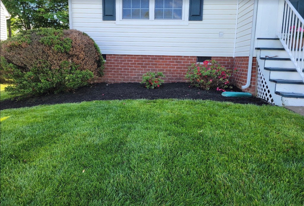 Love Virginia Landscaping LLC