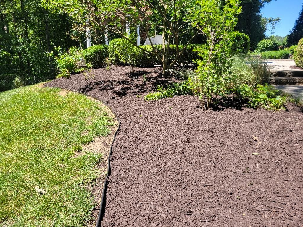 Mulched garden bed with landscape edging
