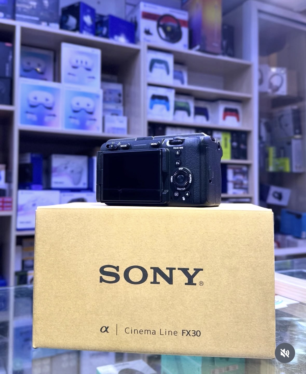 SONY CINEMA LINE FX30