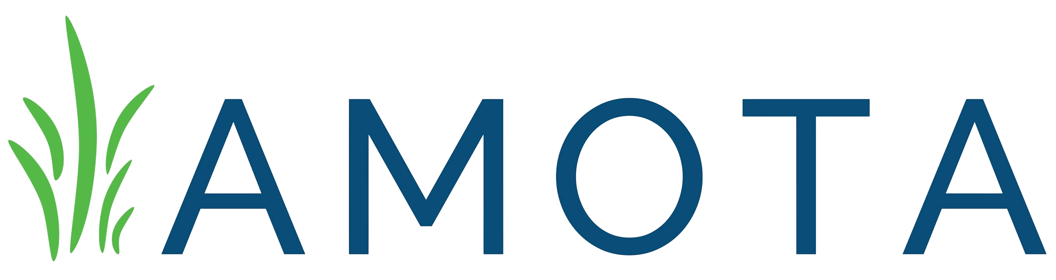 Amota