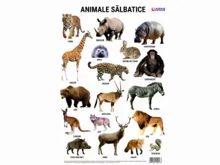 Plansa Animalele salbatice din lume A4