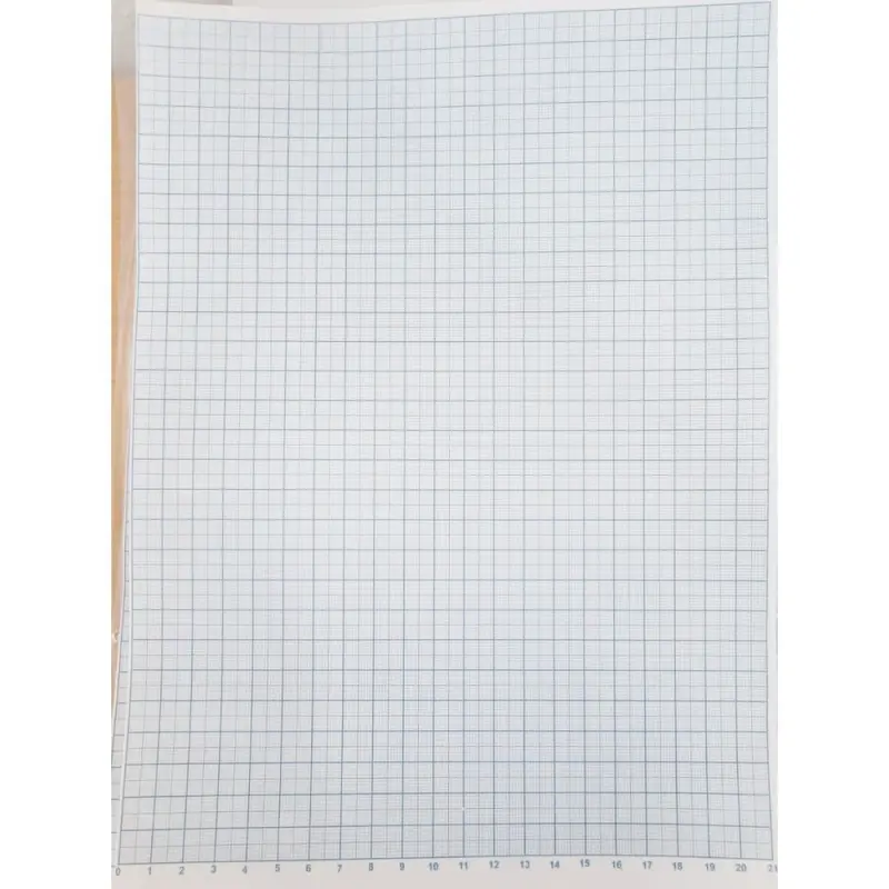 Hartie milimetrica, A4, set/100 ( Dany Cris )