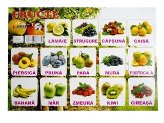 Plansa Fructe A4 din carton cu lacuire UV