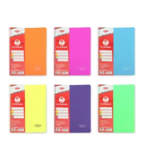 Caiet A4 4 subiecte 120 file Coperta Plastic