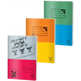 Caiet A4 48 file Matematica Coperta Basic