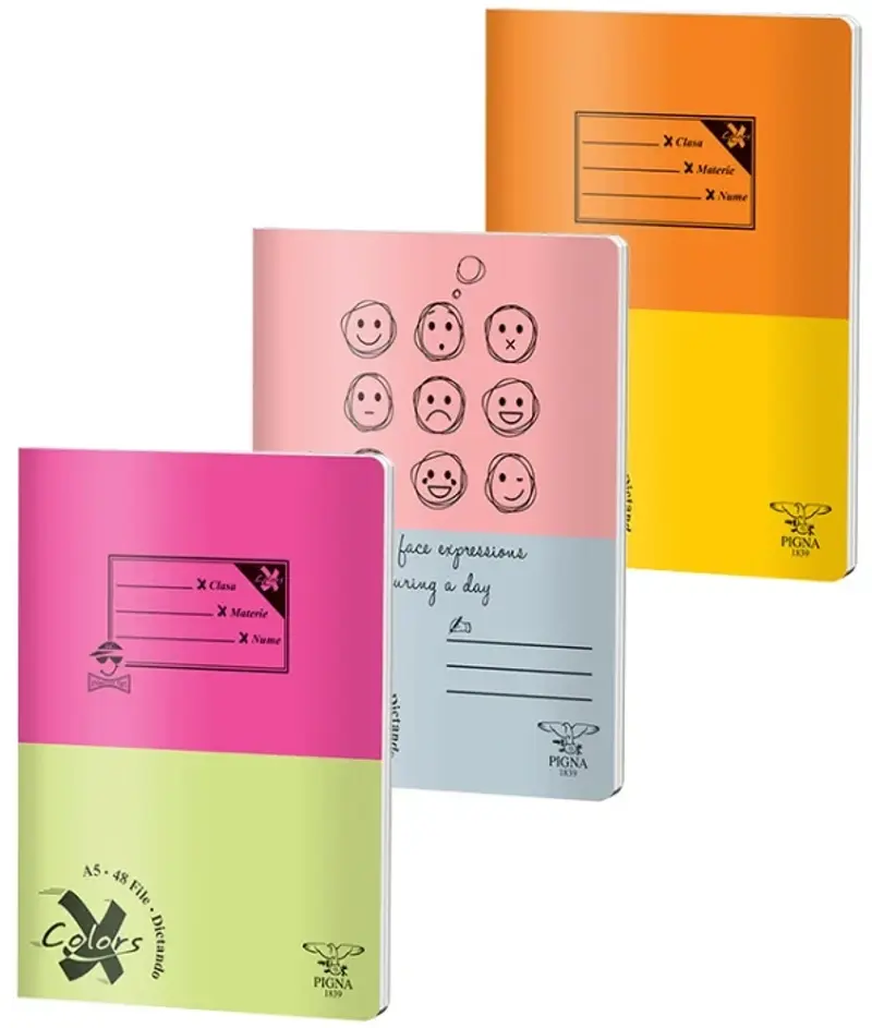 Caiet A5 48 file DIctando Coperta Basic