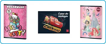 Caiete Speciale