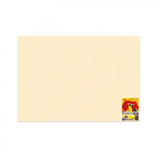 Carton Color Crem 270G/MP 70x100 10 Coli Daco