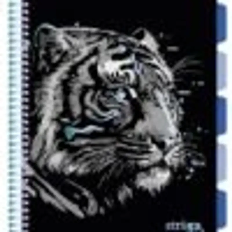 Caiet cu spirala si separatoare, STRIGO PADS Project Book TIGRU, A4, Dictando