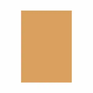 Carton Color 160G/MP A4 Sepia