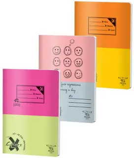 Caiet A5 48 file DIctando Coperta Basic