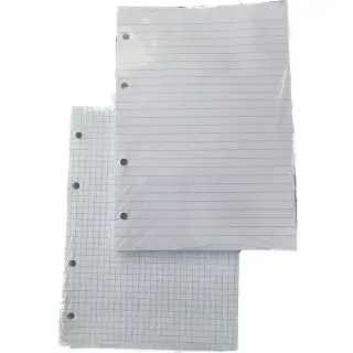 Rezerva Caiet Mecanic A4, 100 file/set