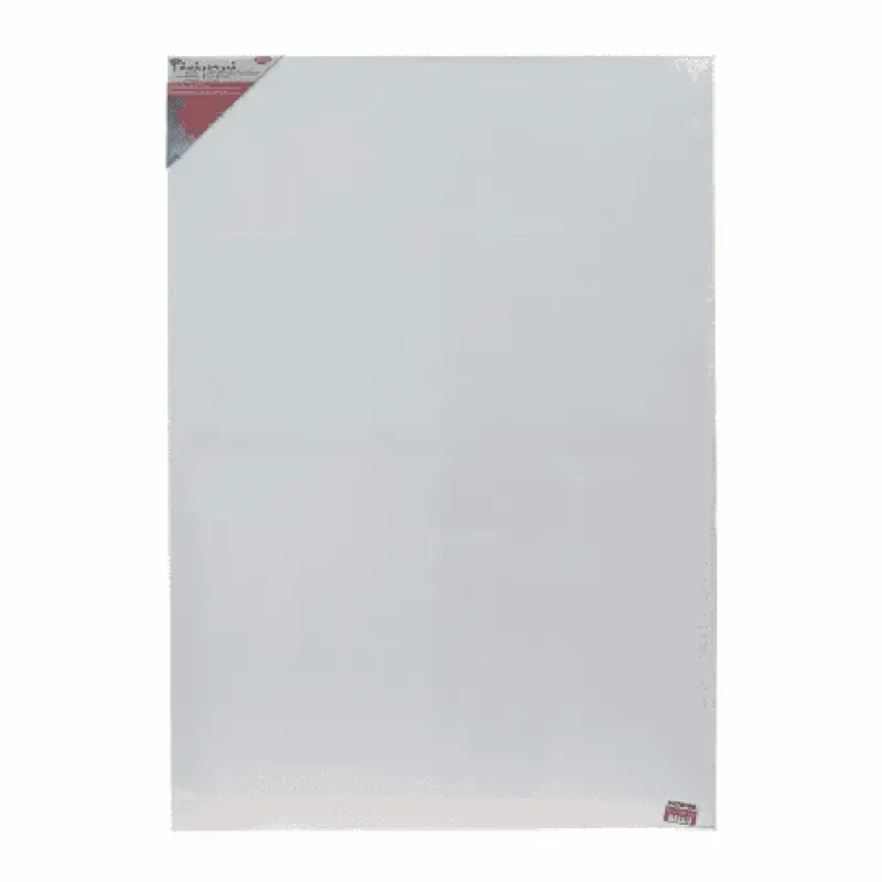 Panza pictura pe sasiu 70x100CM
