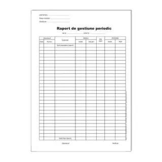 Raport de gestiune periodic A4 vertical ( Dany Cris )