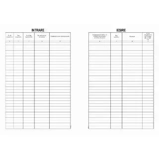 Registru Intrari - Iesiri A4 Coperta carton duplex ( Dany Cris )