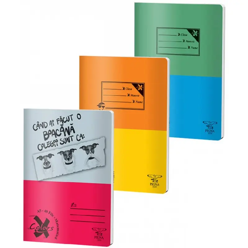 Caiet A4 48 file Matematica Coperta Basic